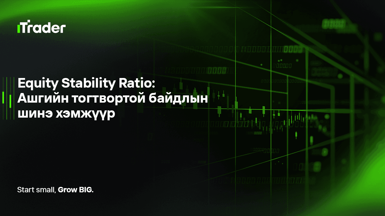 Equity Stability Ratio: Ашгийн тогтвортой байдлын шинэ хэмжүүр